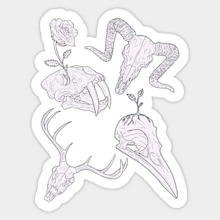 Animal skulls Sticker